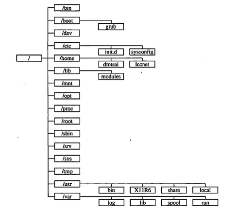 linux tree